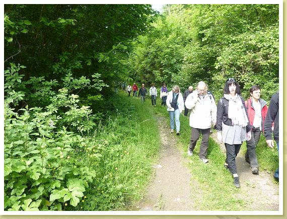 Provins_Marche (28)